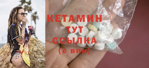 сатива Новодвинск