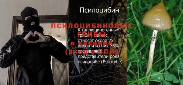 спайс Беломорск