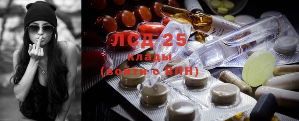 стафф Баксан