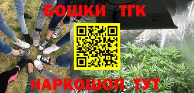 ешки Гагарин
