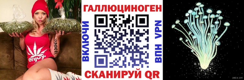 ссылка на мегу ONION  Каменка  Галлюциногенные грибы Magic Shrooms 