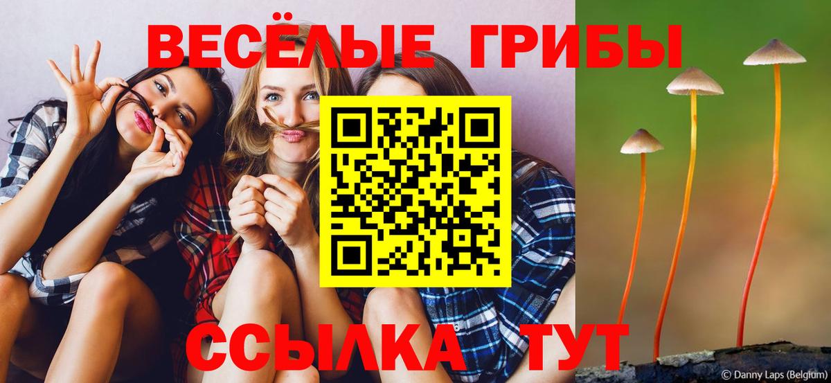 Псилоцибиновые грибы MAGIC MUSHROOMS  Каменка 