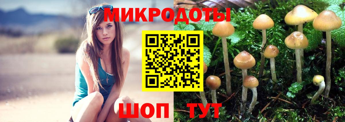 Псилоцибиновые грибы мухоморы Каменка