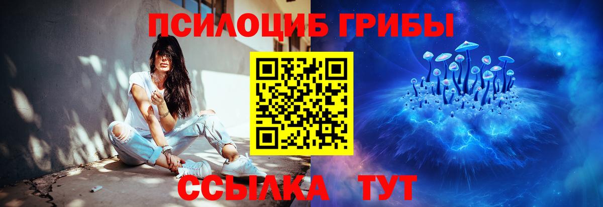 Галлюциногенные грибы Magic Shrooms Каменка