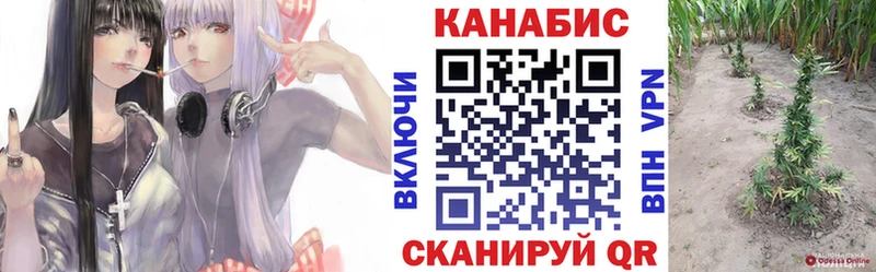 Бошки Шишки конопля  наркошоп  Каменка 